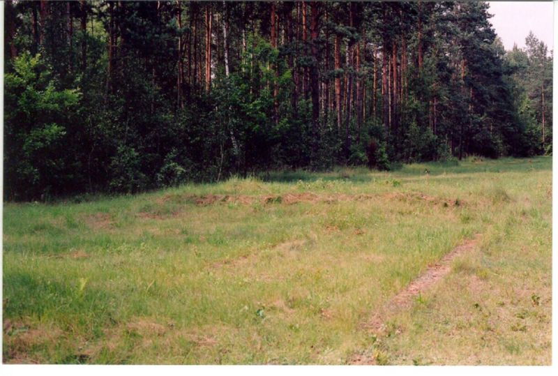 Treblinka 1foundation com